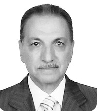 المحاسب محمد محمد محمد علي عامر